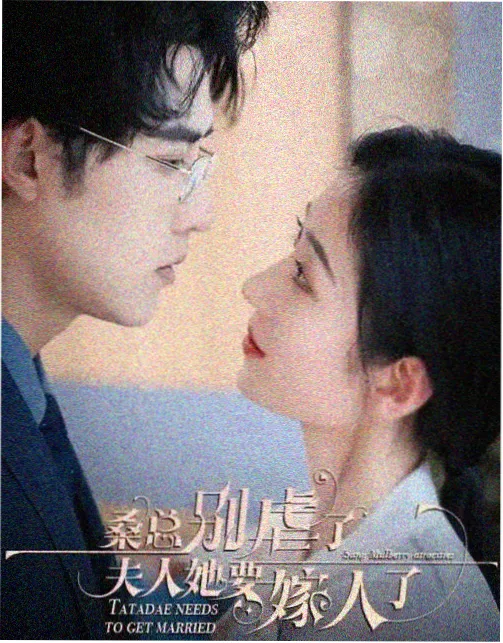 盐碱地 剧集在线播放