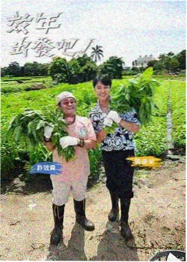 声音试验场 音乐综艺